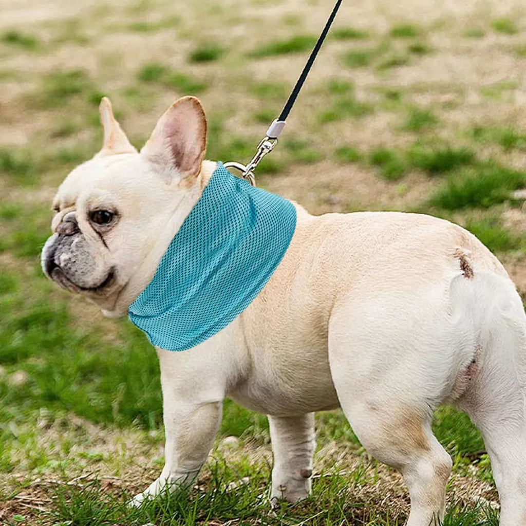Instant Cooling Dog Bandana with Leash Hole