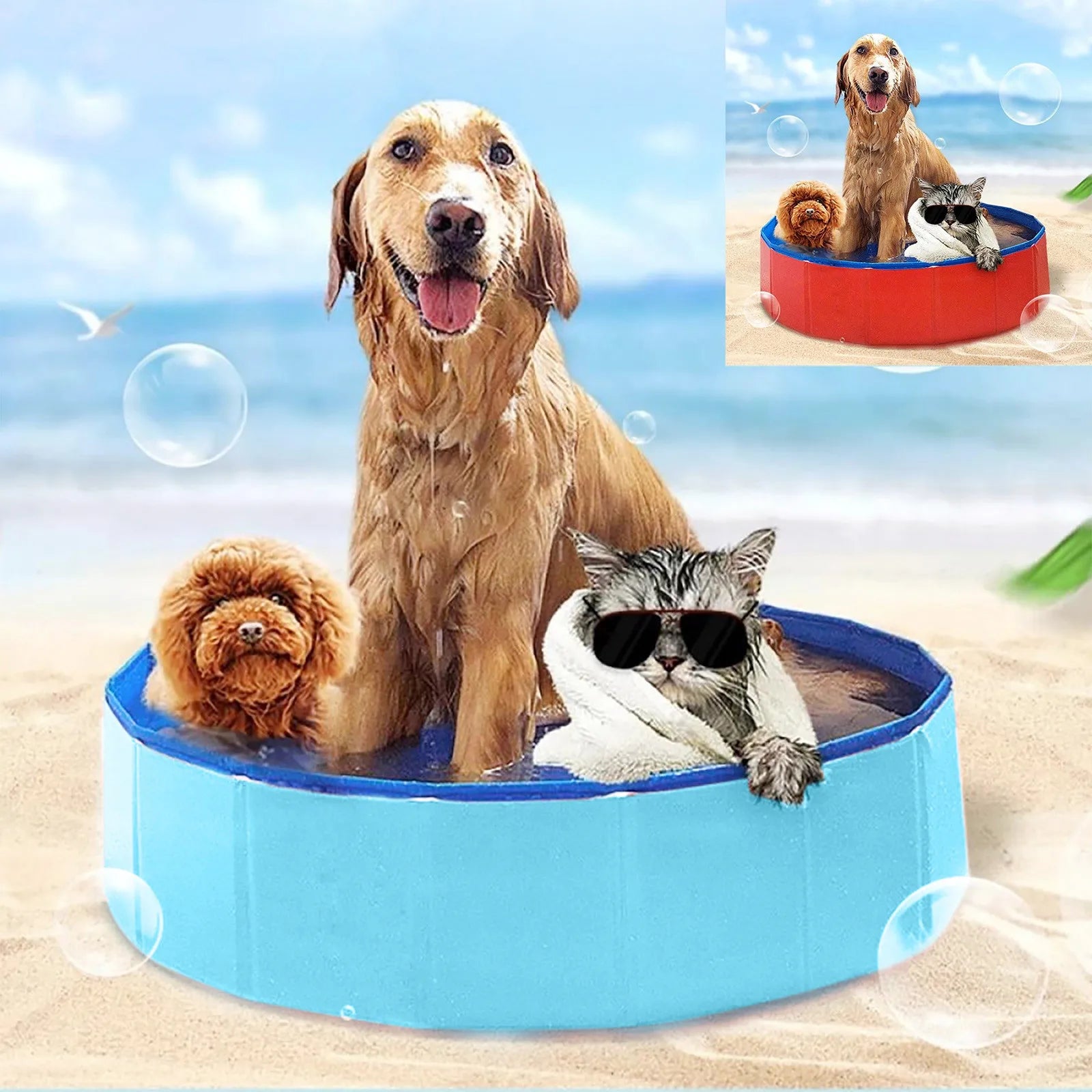 Pop-Up Summer Dog Pool & Bathing Tub