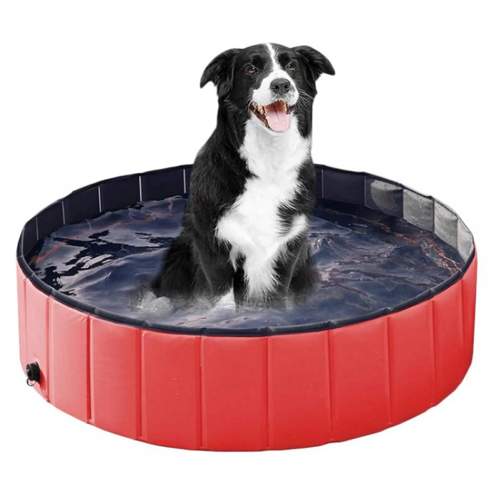 Pop-Up Summer Dog Pool & Bathing Tub
