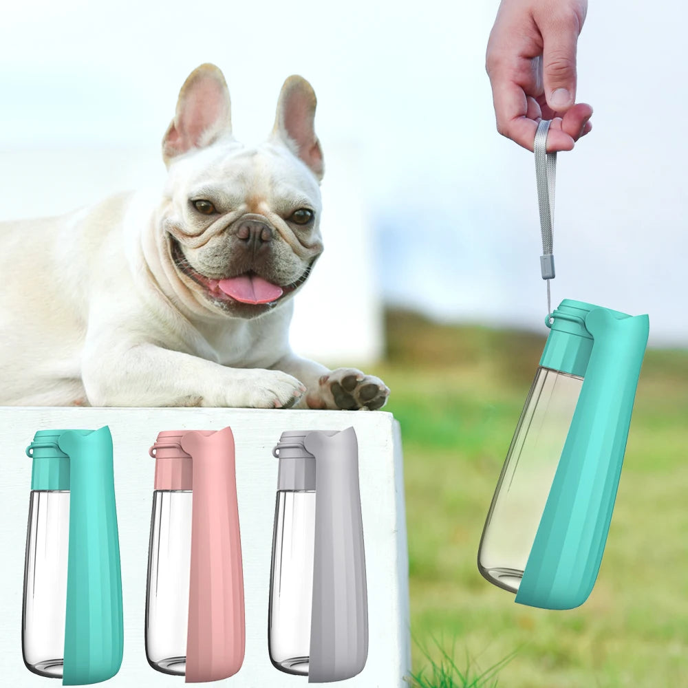 Foldable 2-in-1 Travel Dog Water Bottle